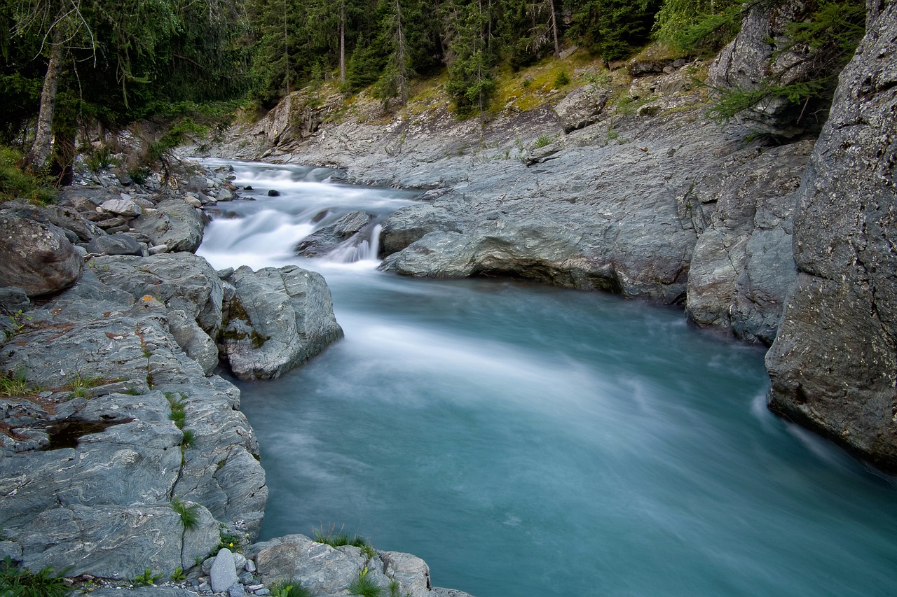 Top 10 Scenic Drives in the Great Smoky Mountains